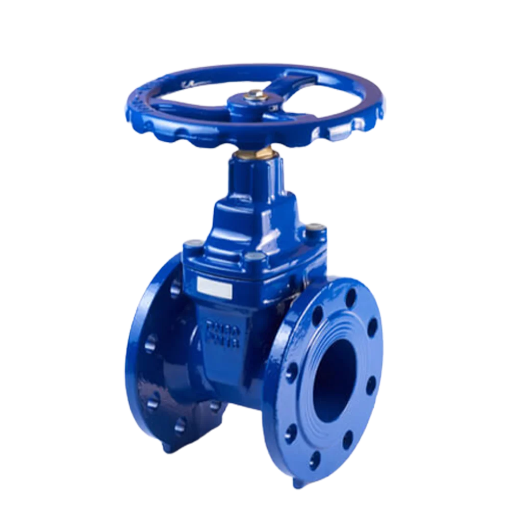 Gate Valve